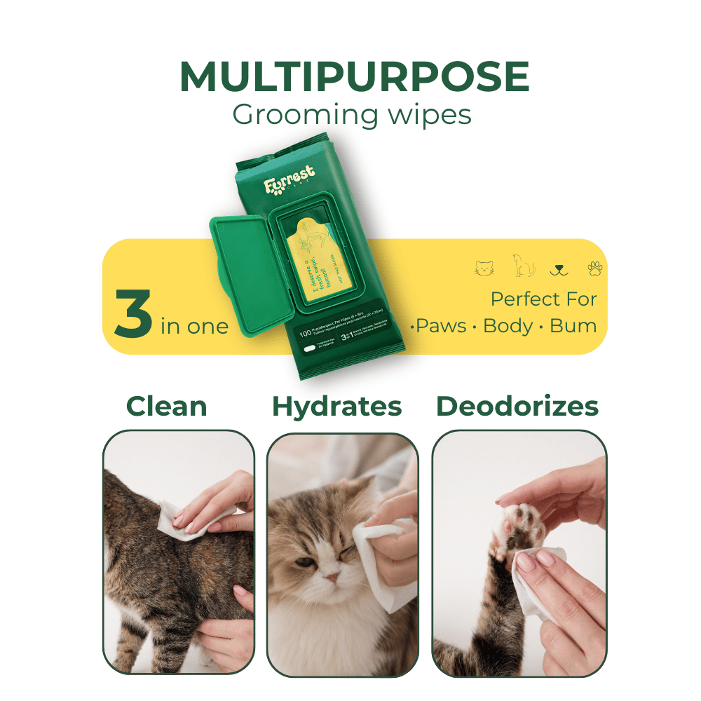 Furrest Pet Wipes Box (4 Single Packs)