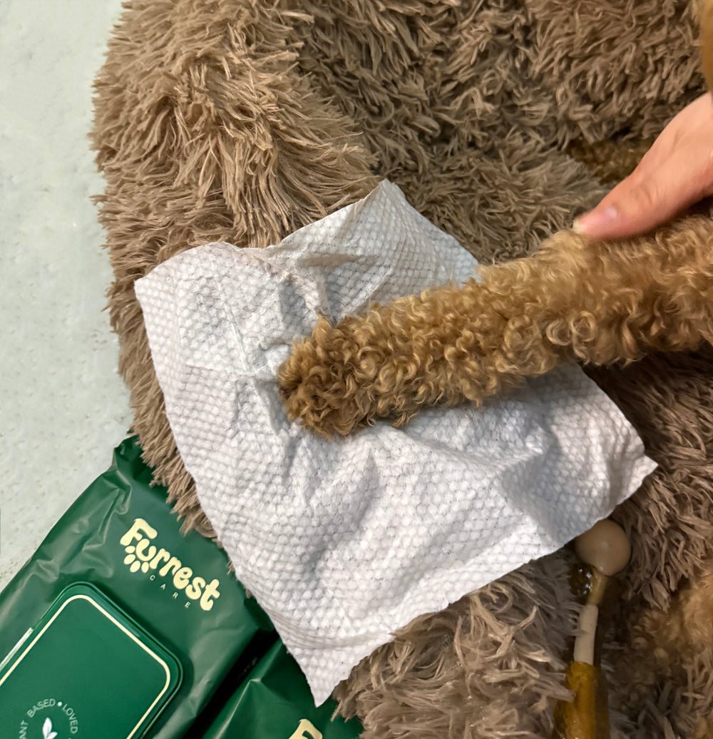 Close-up of a poodle's paw on a textured Furrest bamboo wipe next to the pack