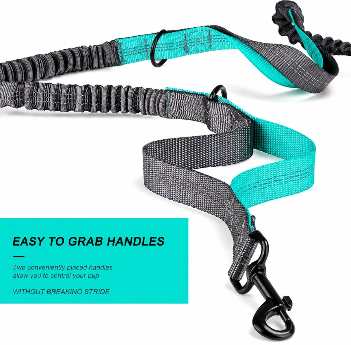 Hands Free Dog Bungee Leash with Waist Belt
